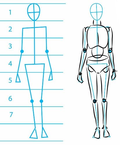 Как нарисовать человека карандашом: пропорции