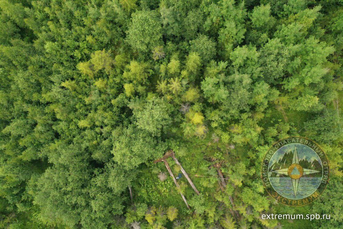 Потерявшаяся в синей одежде лежит между двух поваленных стволов.
