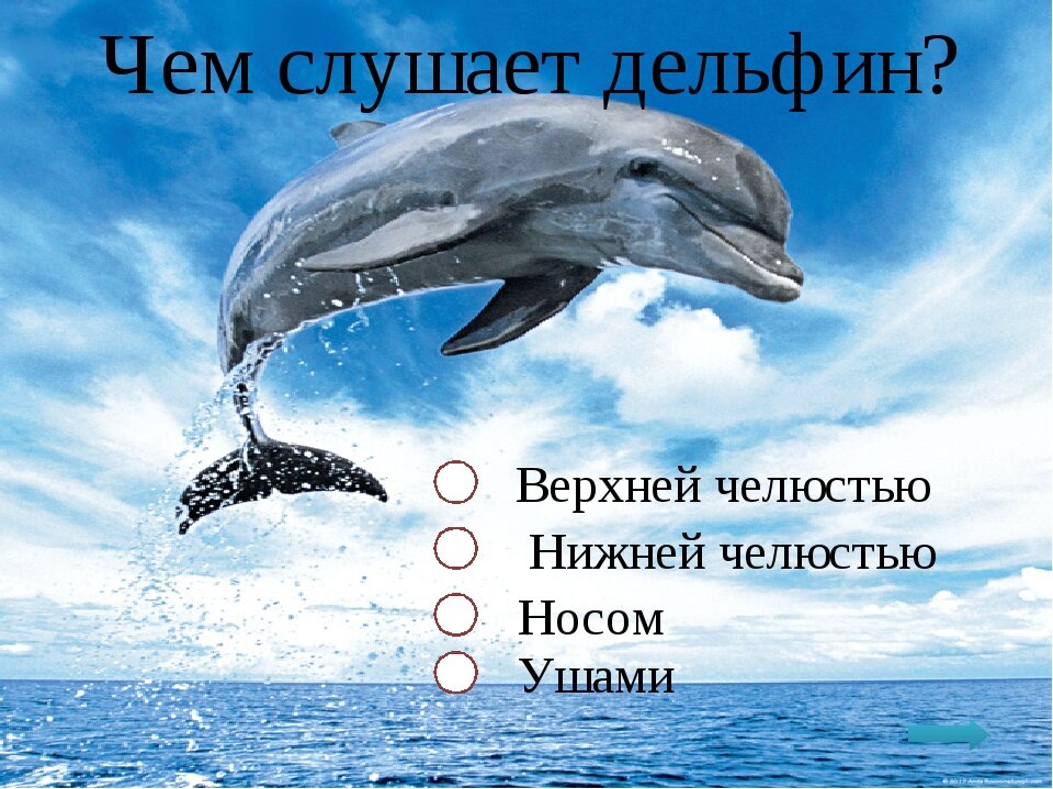 ВНИМАНИЕ! Здесь всего 20 вопросов из 40! Оставшиеся 20 вопросов вы найдете в другой статье! УДАЧИ!  1. Место и значение плавают в отечественной системе физического воспитания.-2