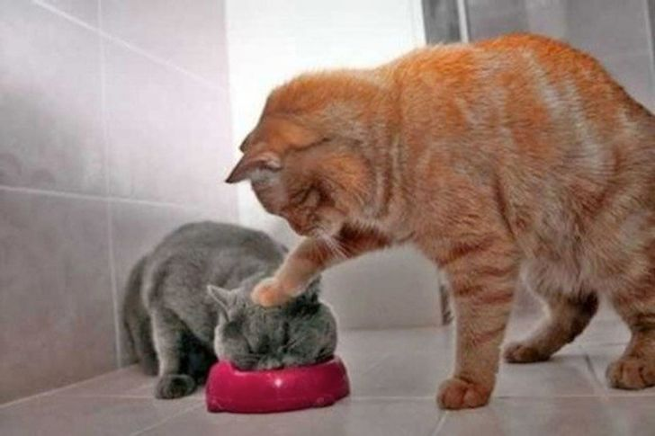 © u/mistermajik2000 / reddit