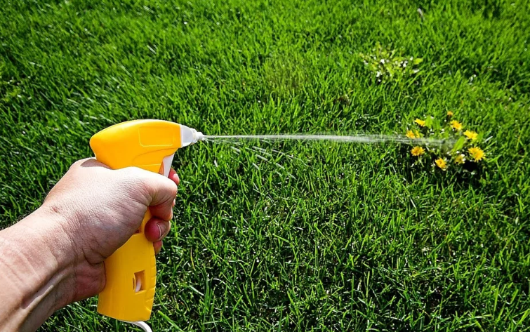 Фотография взята из источника 56887649960079.мои-6-соток.рф