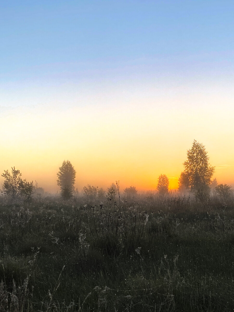 Обработано в Lightroom 