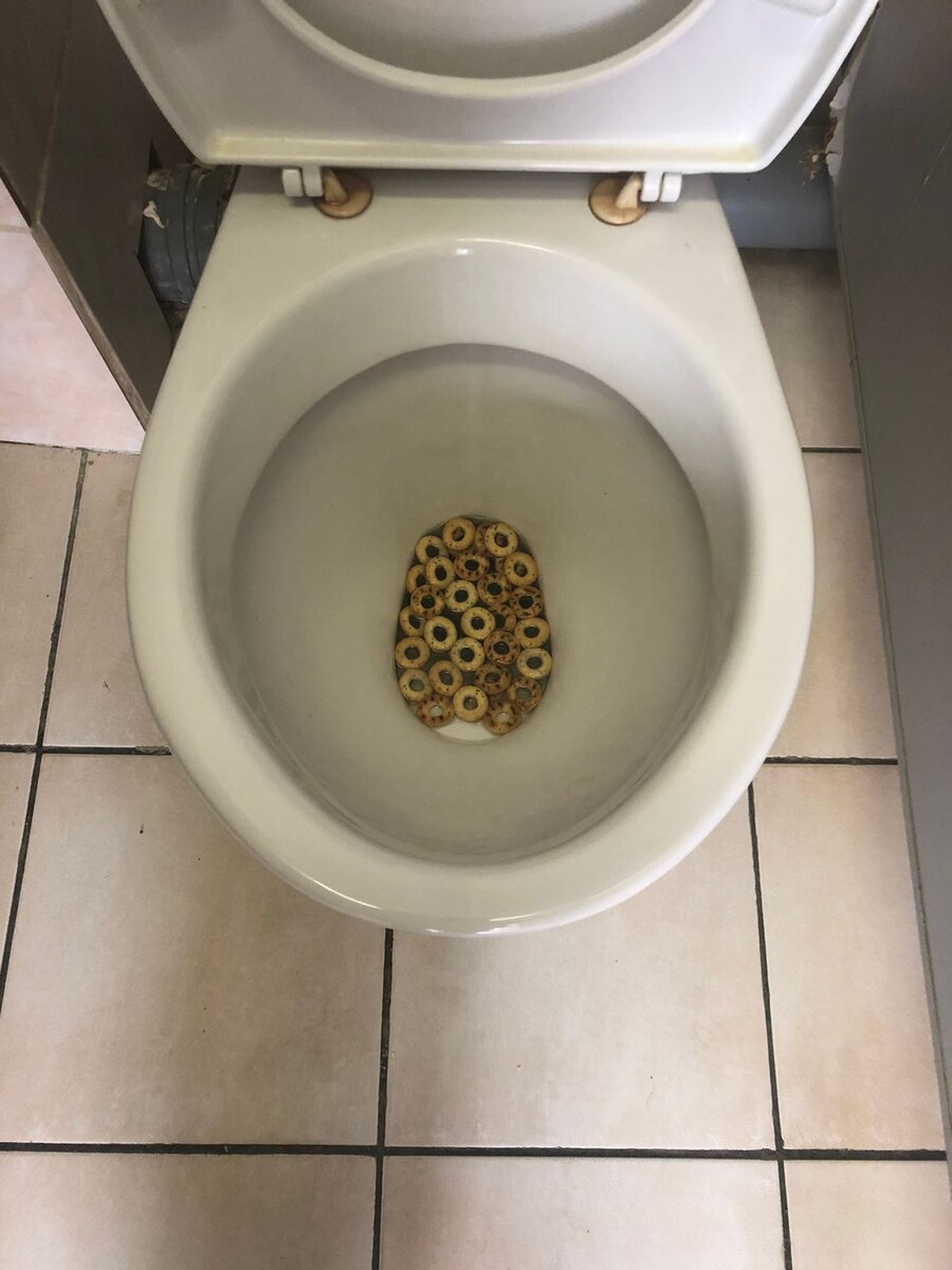 фото из служебного чата