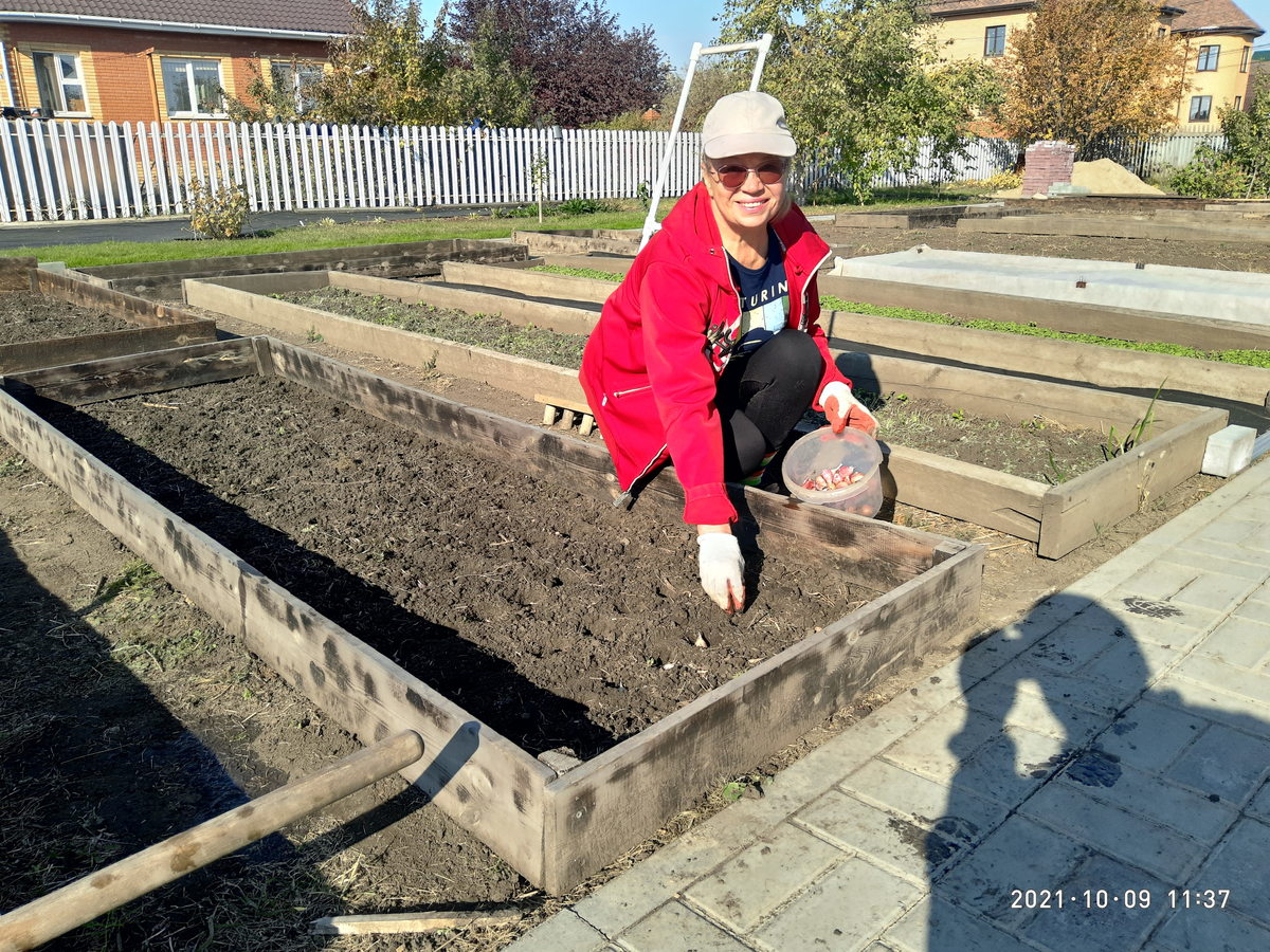 автор статьи
