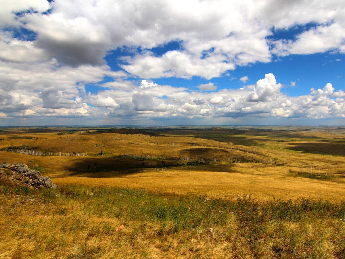 Ширакская степь