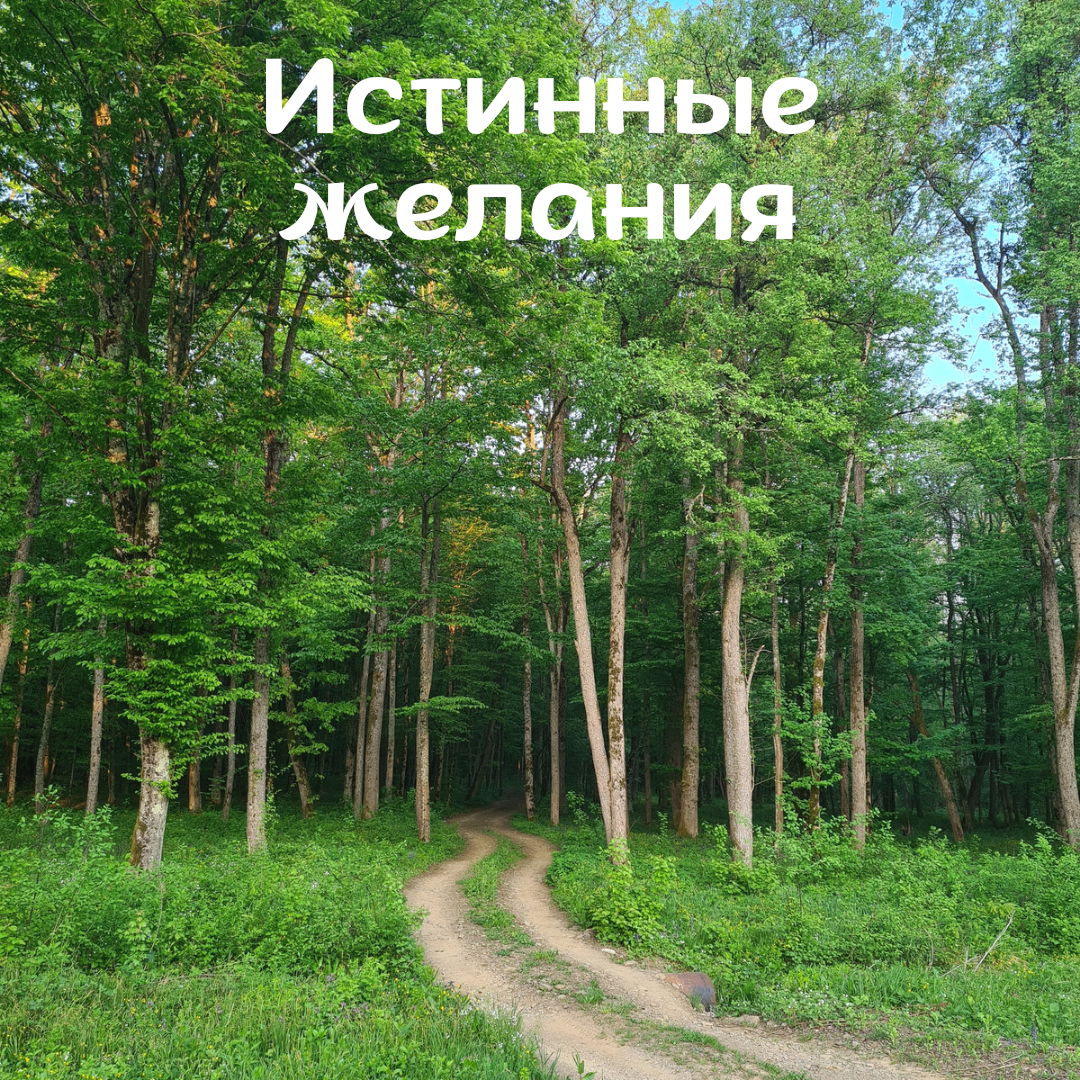 #анатомия_продаж_88hg 