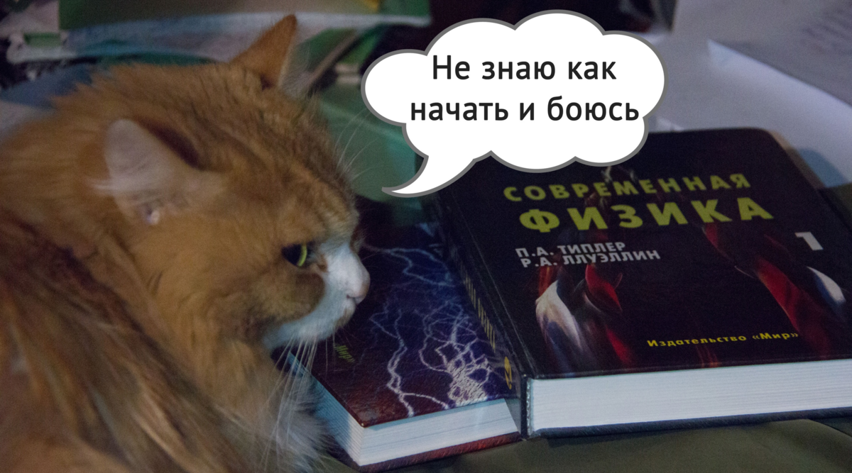 Спасибо Светлане за предоставленное фото такого красивого котейки :)