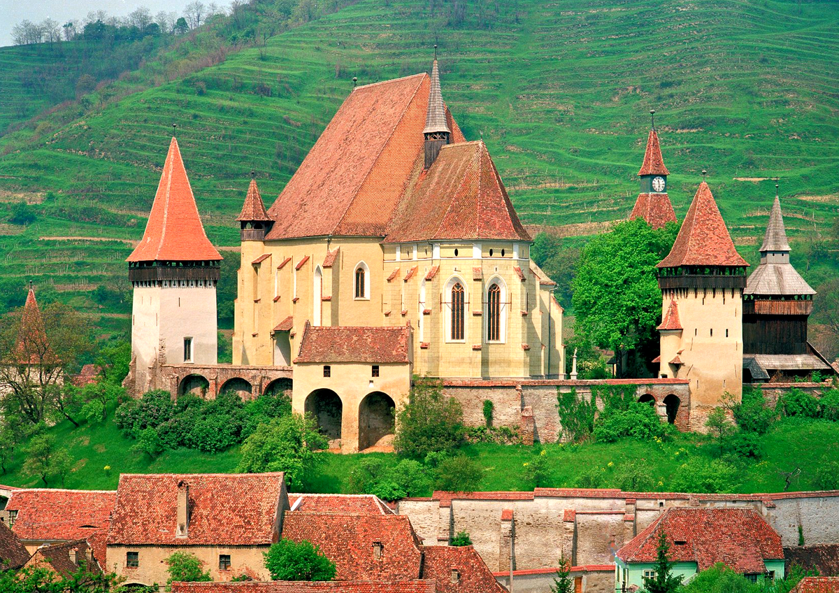 Фото Отто Шеммеля