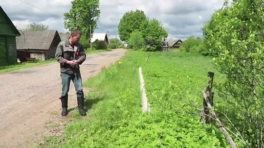 Чудеса все-таки случаются. Как нам удалось почти даром подвести к участку электричество.