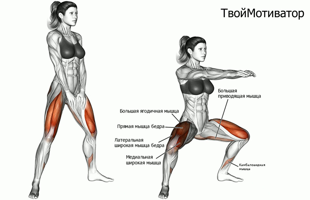 приседания плие