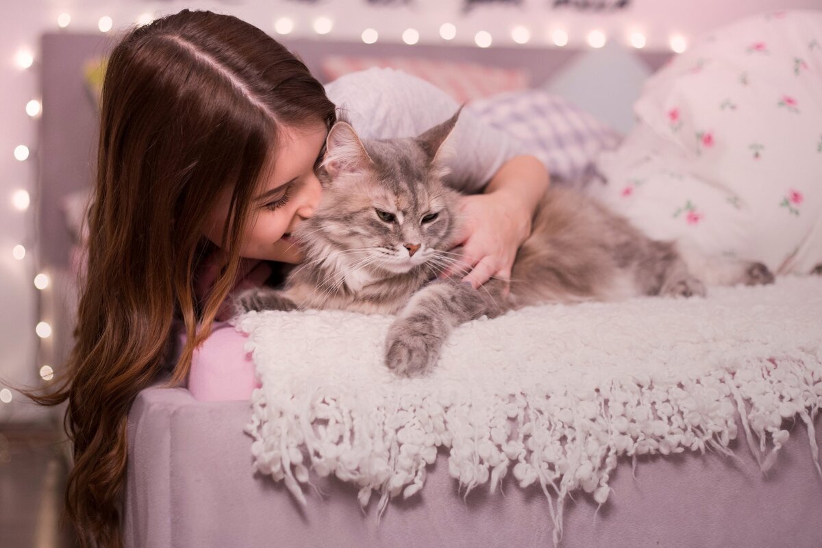 Фото из свободных источников