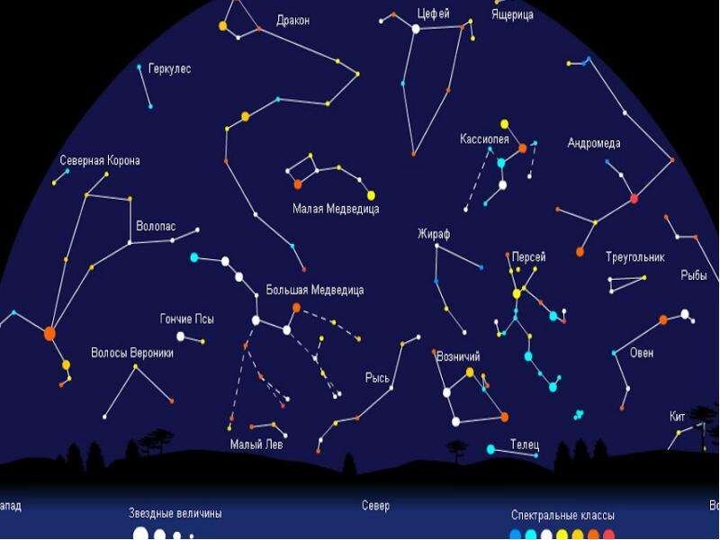 Расположение созвездий малая и большая медведица. Созвездие Орион Лев лебедь Кассиопея большая Медведица. Созвездия летнего неба Северного полушария. Созвездие Кассиопея лебедь Орион на звёздном небе. Кассиопея на карте звездного неба.