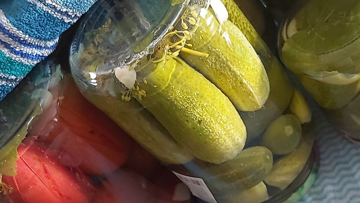 Классические заготовки