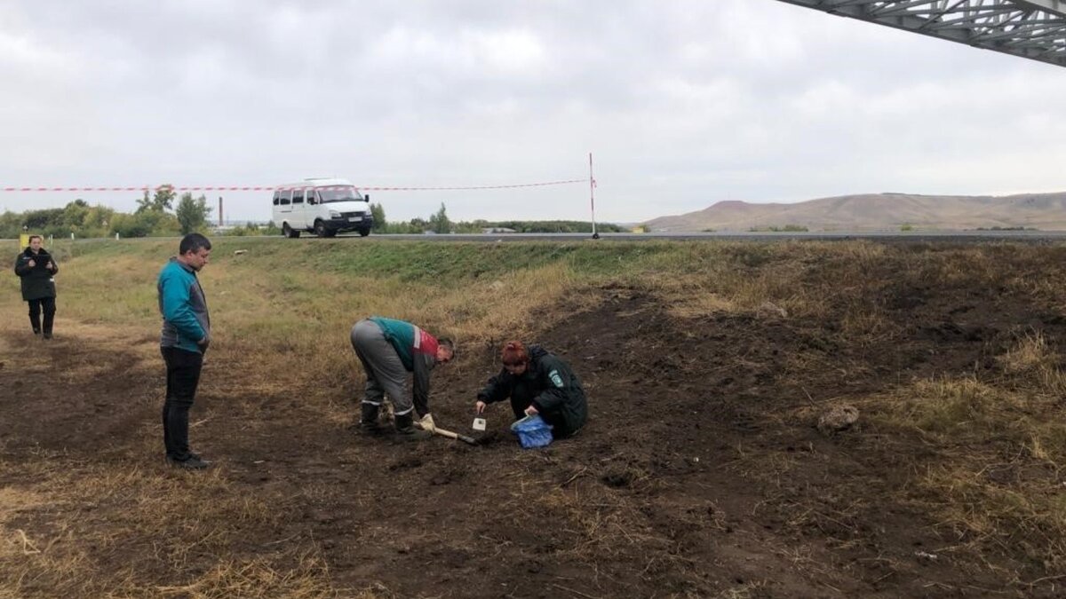     Возле пгт Нижняя Мактама в Альметьевском районе произошло ДТП с «Камазом». В связи с этим сотрудники министерства экологии и природных ресурсов РТ взяли пробы почвы. Об этом сообщили в пресс-службе ведомства.