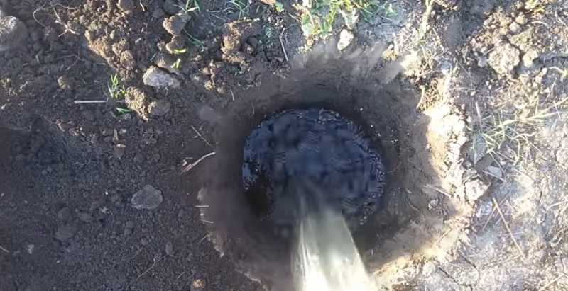 Яма для посадки черемухи