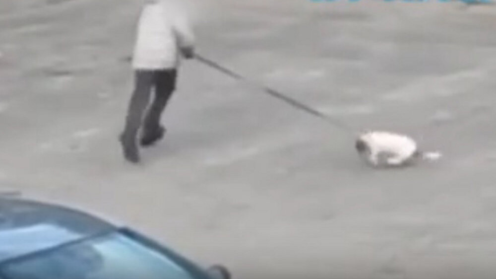 ФОТО: кадр из видео
