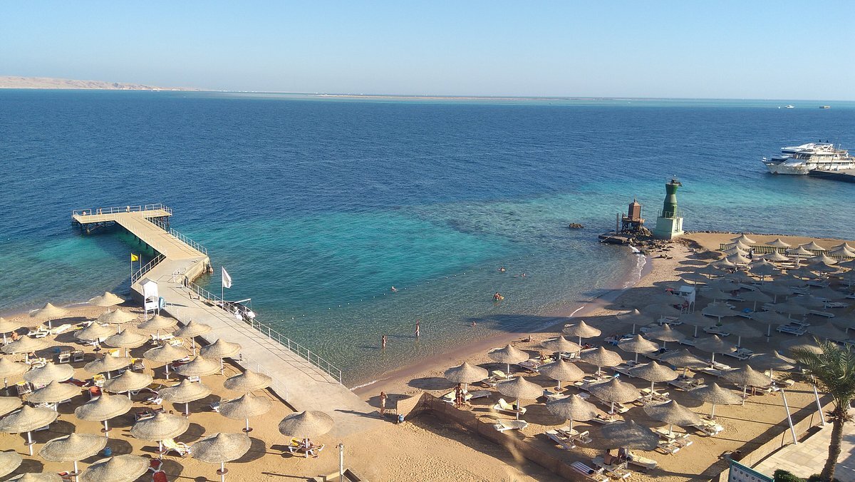 Marina beach 4 хургада. Риф Бич Шарм-Эль-Шейх. Риф Оазис Египет Шарм-Эль-Шейх. Риф Оазис Бич. Reef Oasis Beach Resort 5 Египет.