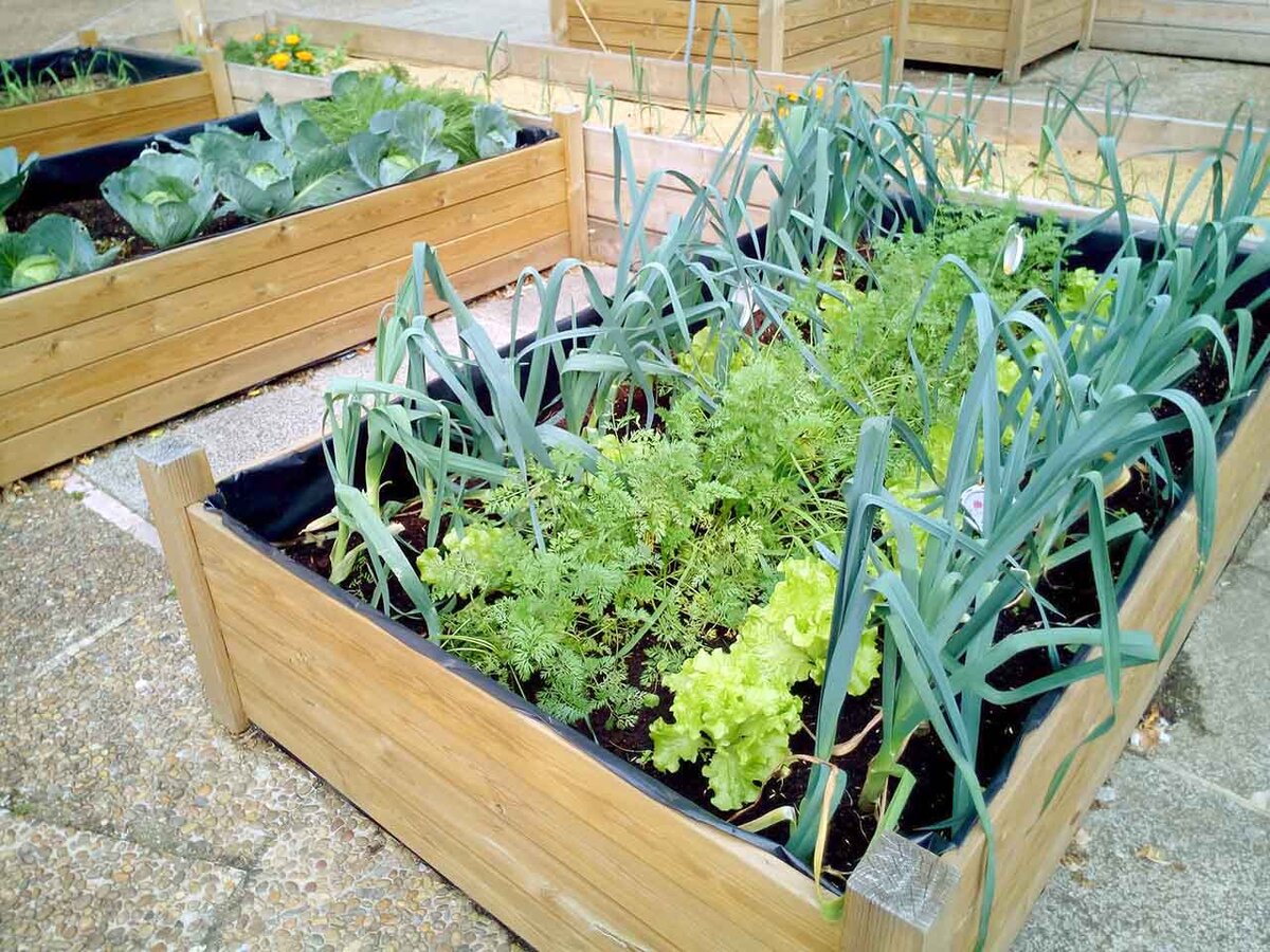 Фото: pixabay.com