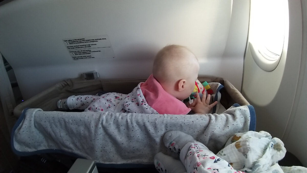 Алиса в люльке