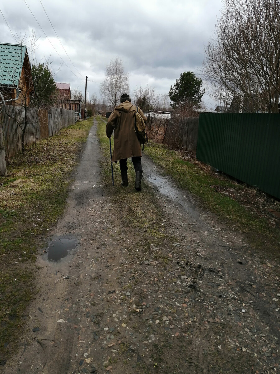 «Самый умный» 
