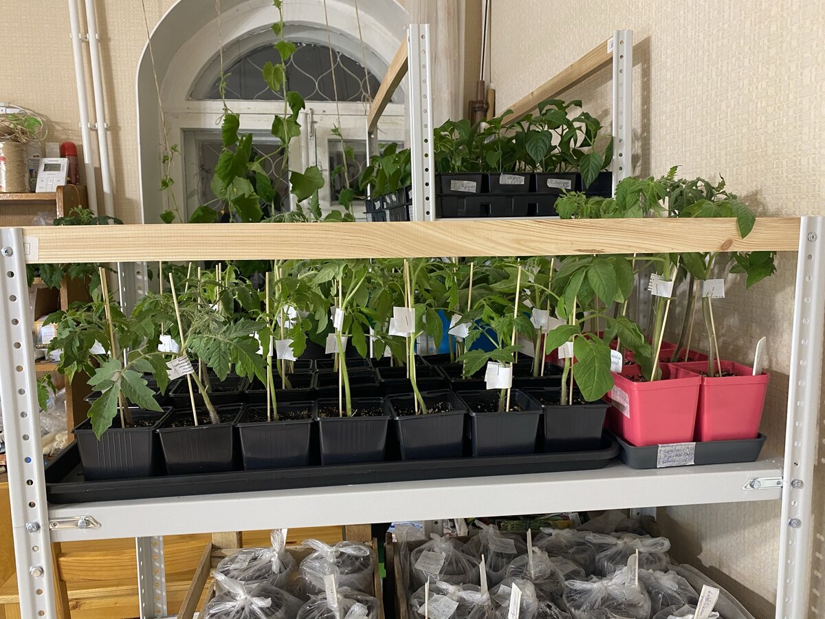 Стеллаж, который собрал муж.