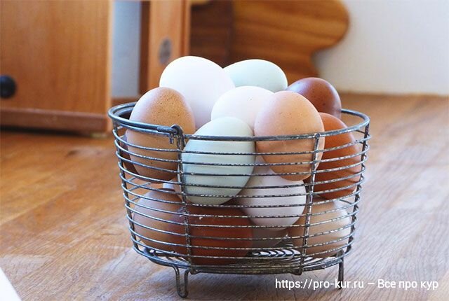 Подраздел 1.3: Используйте коробку для яиц для длительного хранения