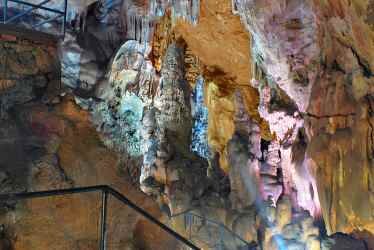 Скельская пещера является еще и точкой на карте Крыма, где находятся редчайшие организмы, которых невозможно встретить где-либо еще и даже увидеть на фото. Среди пауков, раков, многоножек и мокриц выделяется уникальный планктон. Благодаря нему пещера попала в Книги рекордов Крыма.