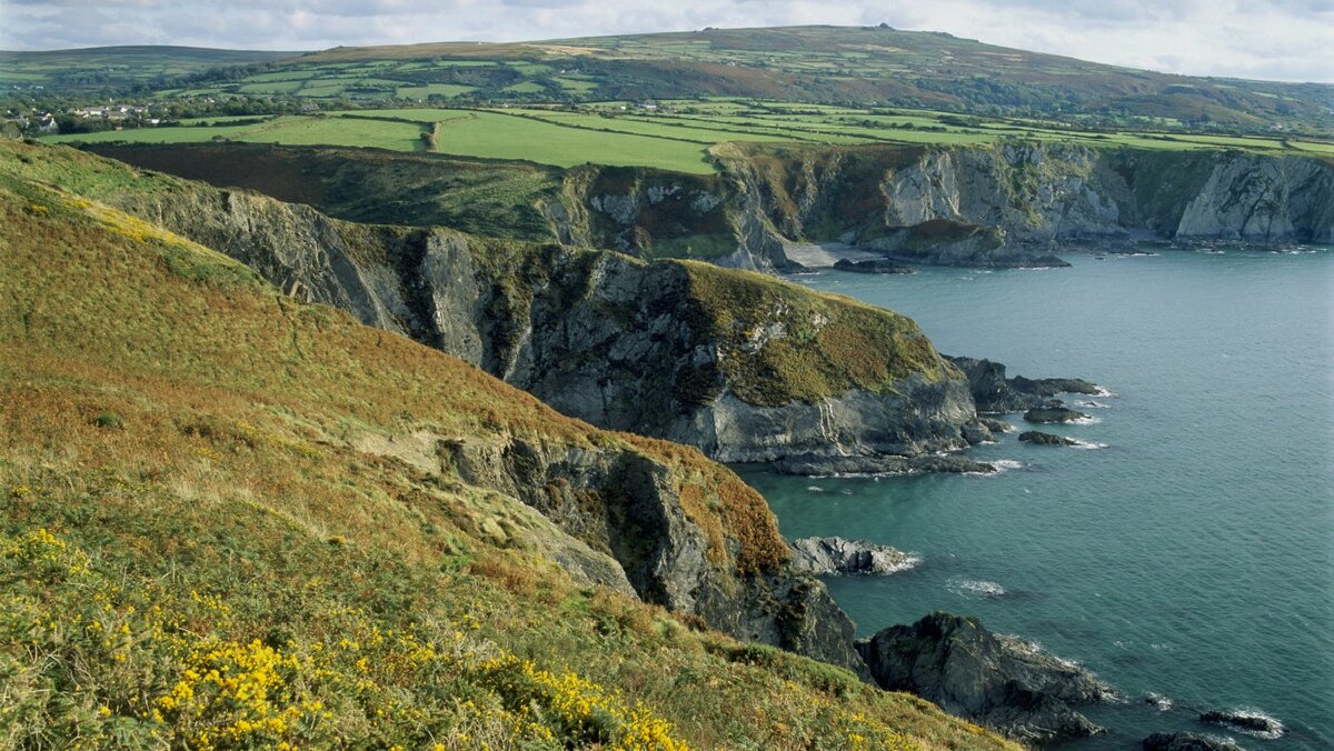 Пембрукшир (Pembrokeshire)самая густонаселенная деревня, более 2500 жителей.