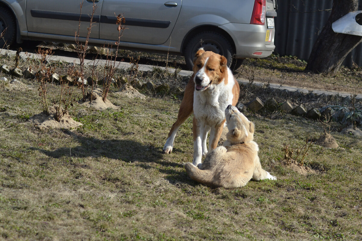 Сара и Магда(фото из личного архива)
