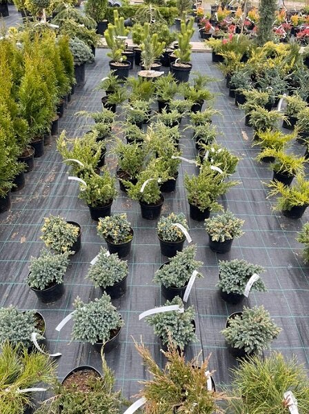 ГАЛЕРЕЯ. ЛИСТАЙТЕ ВПРАВО