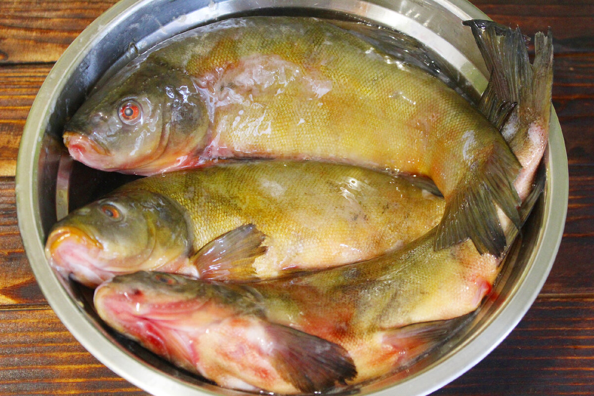 Рецепты блюд из линя — рецепты блюд из рыбы. Заморить червячка — Сибирская рыбалка