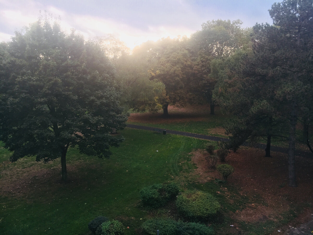 Мечтала во сне увидеть осень