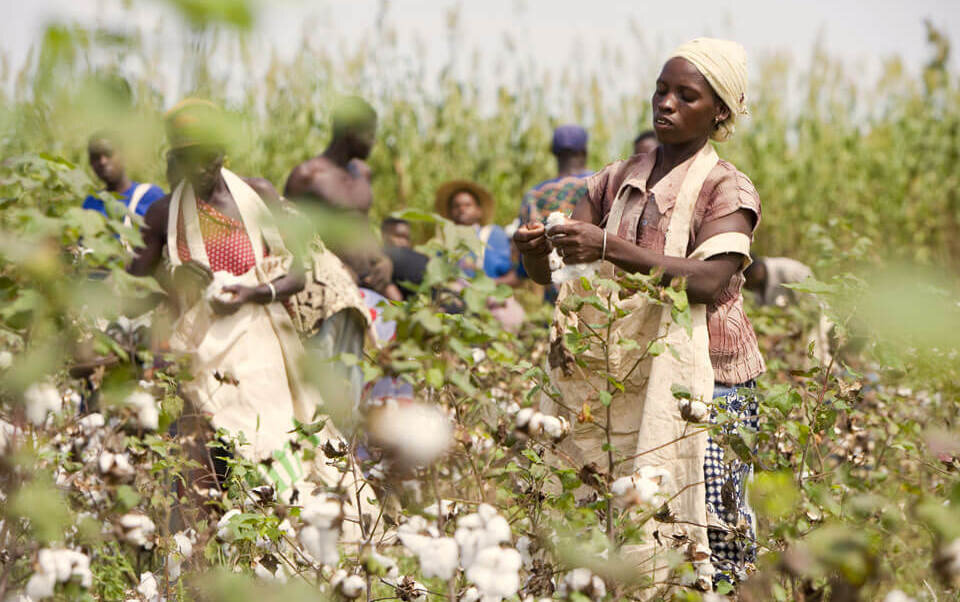 Снимок с земли