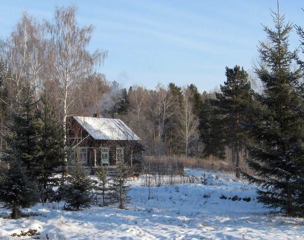 Яндекс картинки