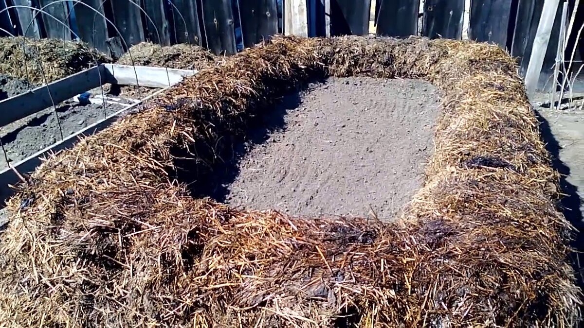 Фотография взята с сайта- https://clck.ru/UbWpH