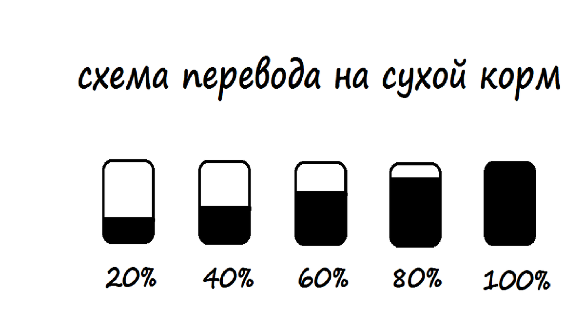 Схема перехода на новый корм для собак