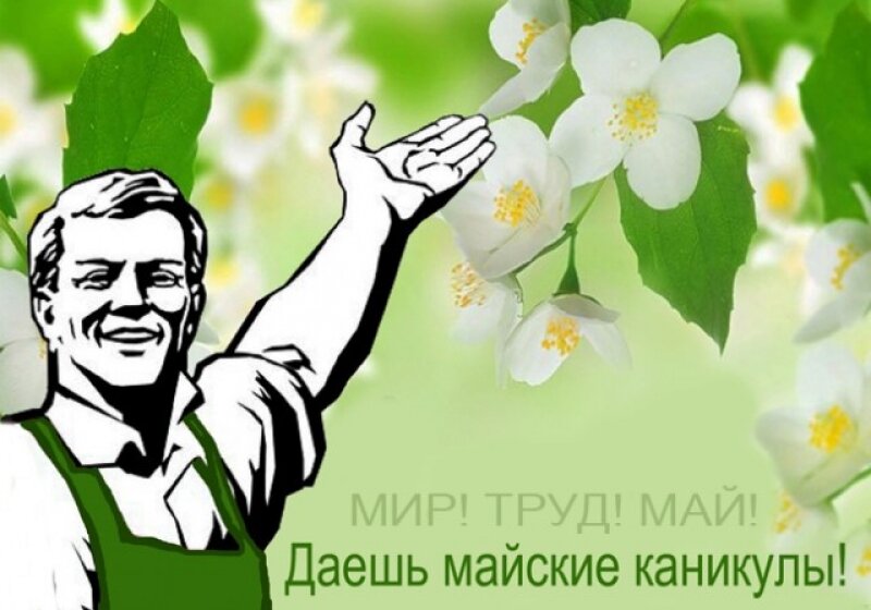 Картинка с сайта https://bk55.ru