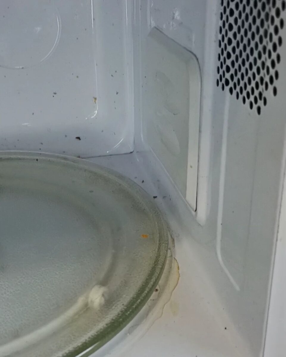 В таком состоянии была моя микроволновка