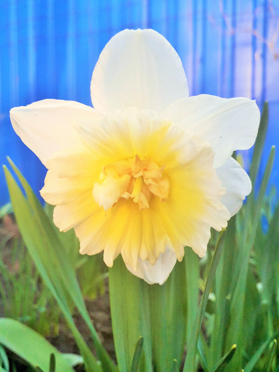 Сама нежность