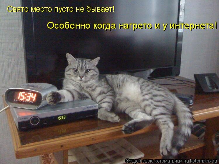 Свято место пустым не бывает. Кушать подано садитесь жрать пожалуйста картинки. Поговорка свято место пусто не бывает. Свято место не бывает. Собака спит под одеялом.