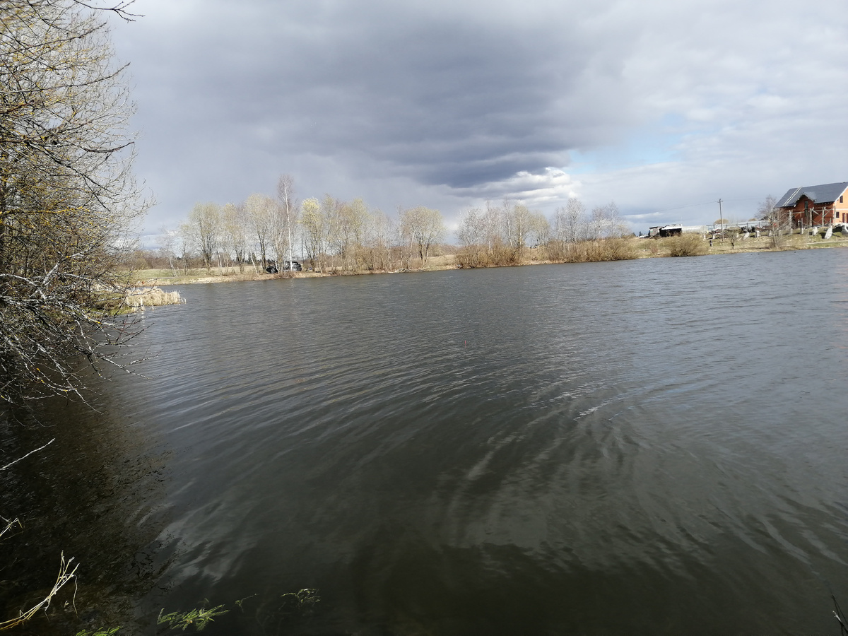 Конечно же на пляже я места себе не нашёл - там очень ветрено. Забрался в какие-то кусты за деревьями. 