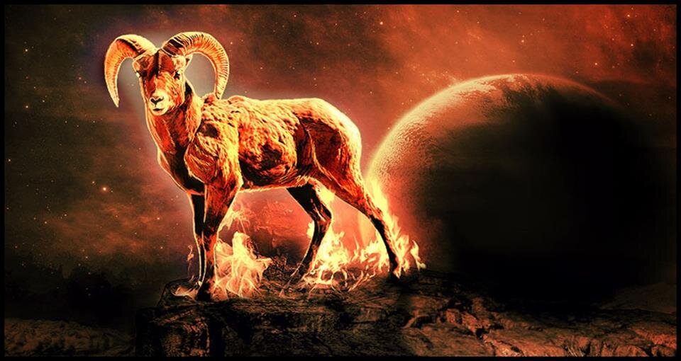 фото из свободного источника