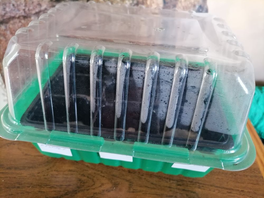 Минипарник