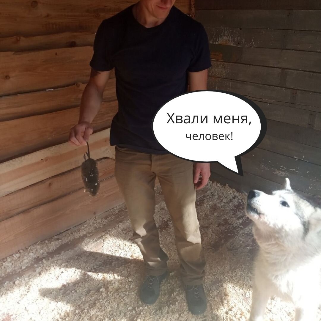 Из личного архива