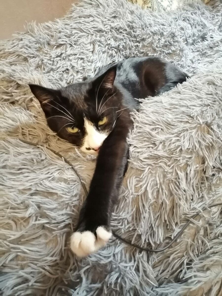 Генерал Бубута. Фото автора.