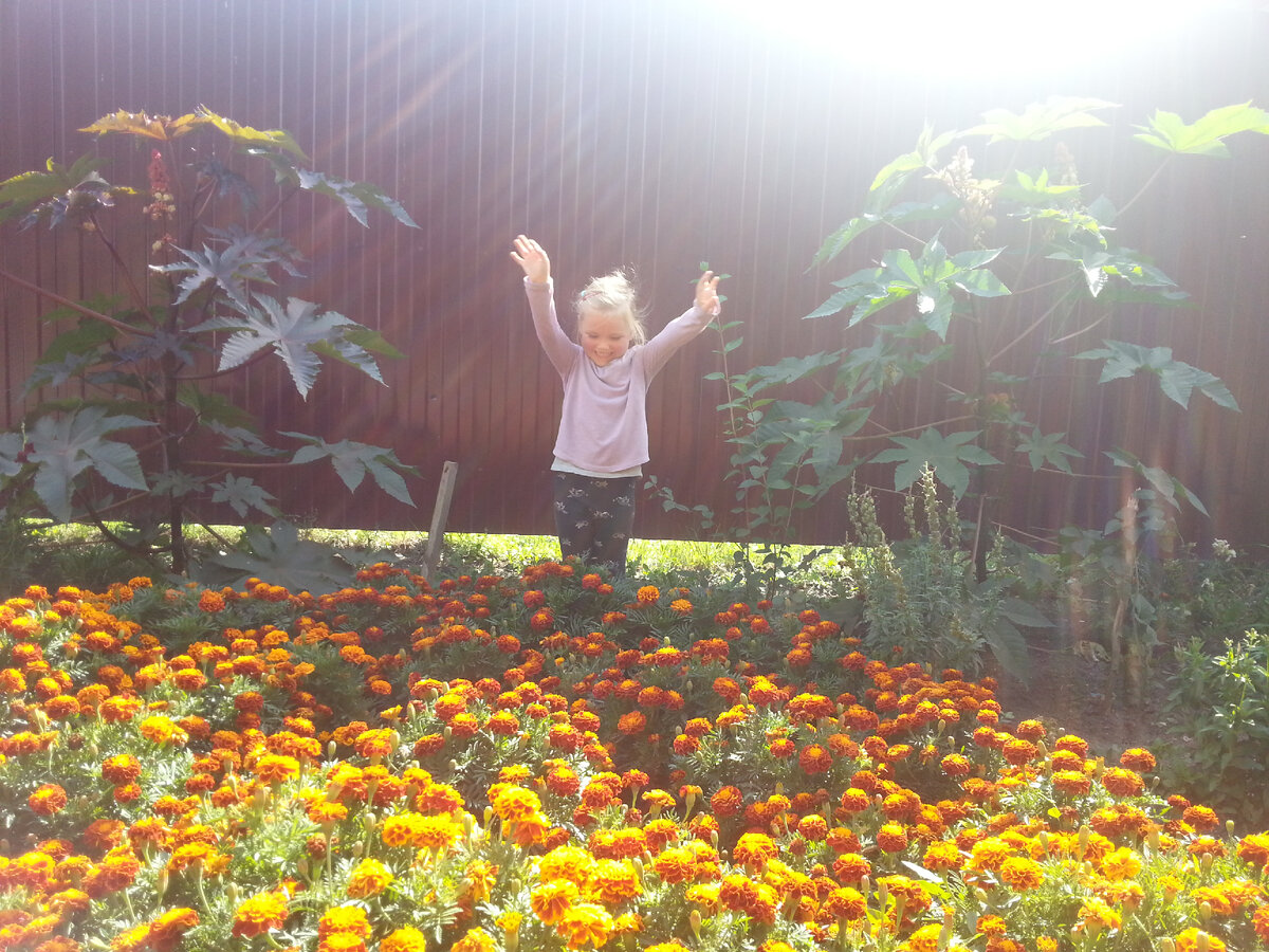 Красивая клумба, практически за копейки.