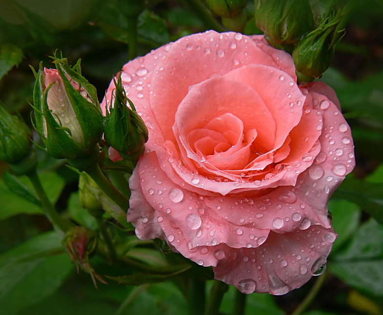 Взято из открытых источников.