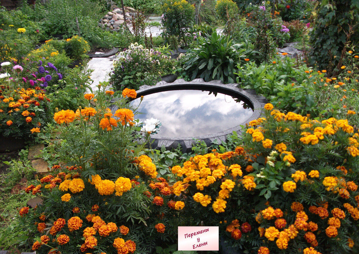 Цветущий уголок