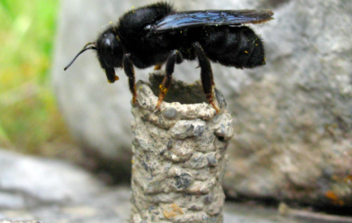 Фото: из Сети