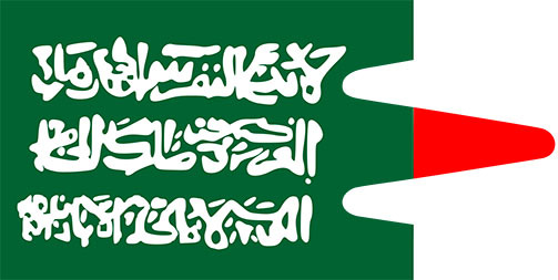 флаг Северо-Кавказского имамата, существовавшего в XIX веке на территории Чечни и Дагестана.